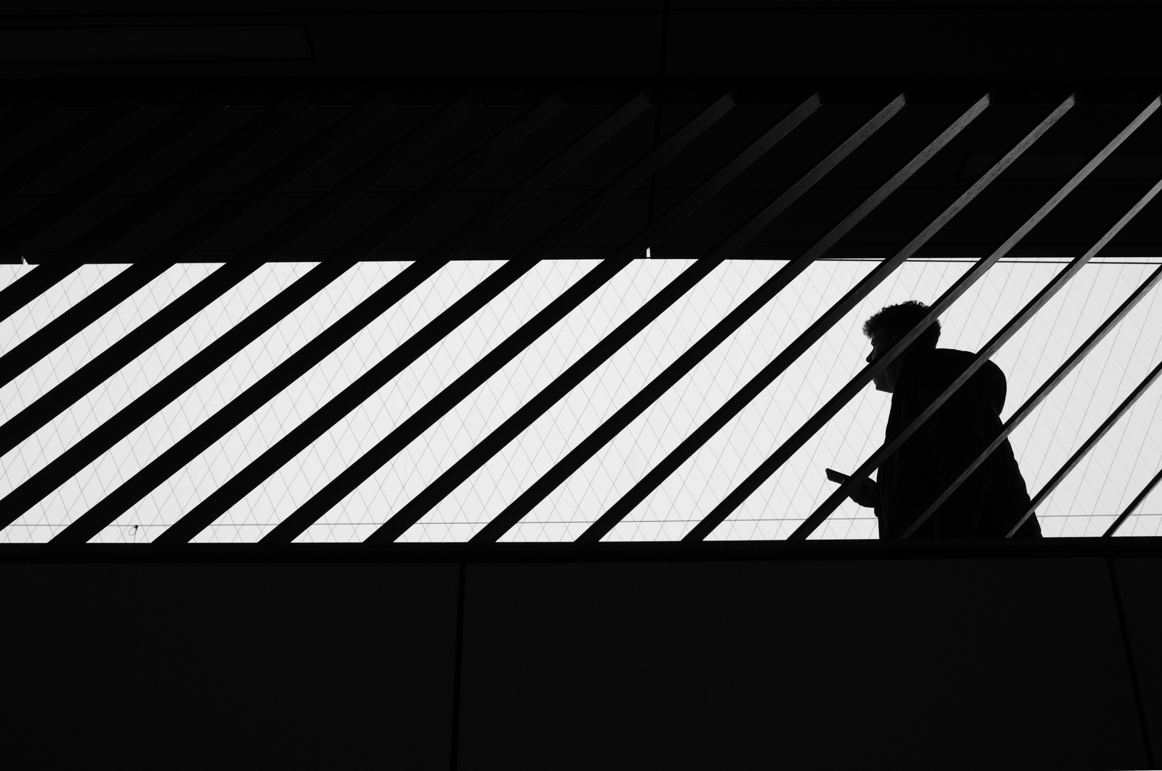 Lines & Silhouettes