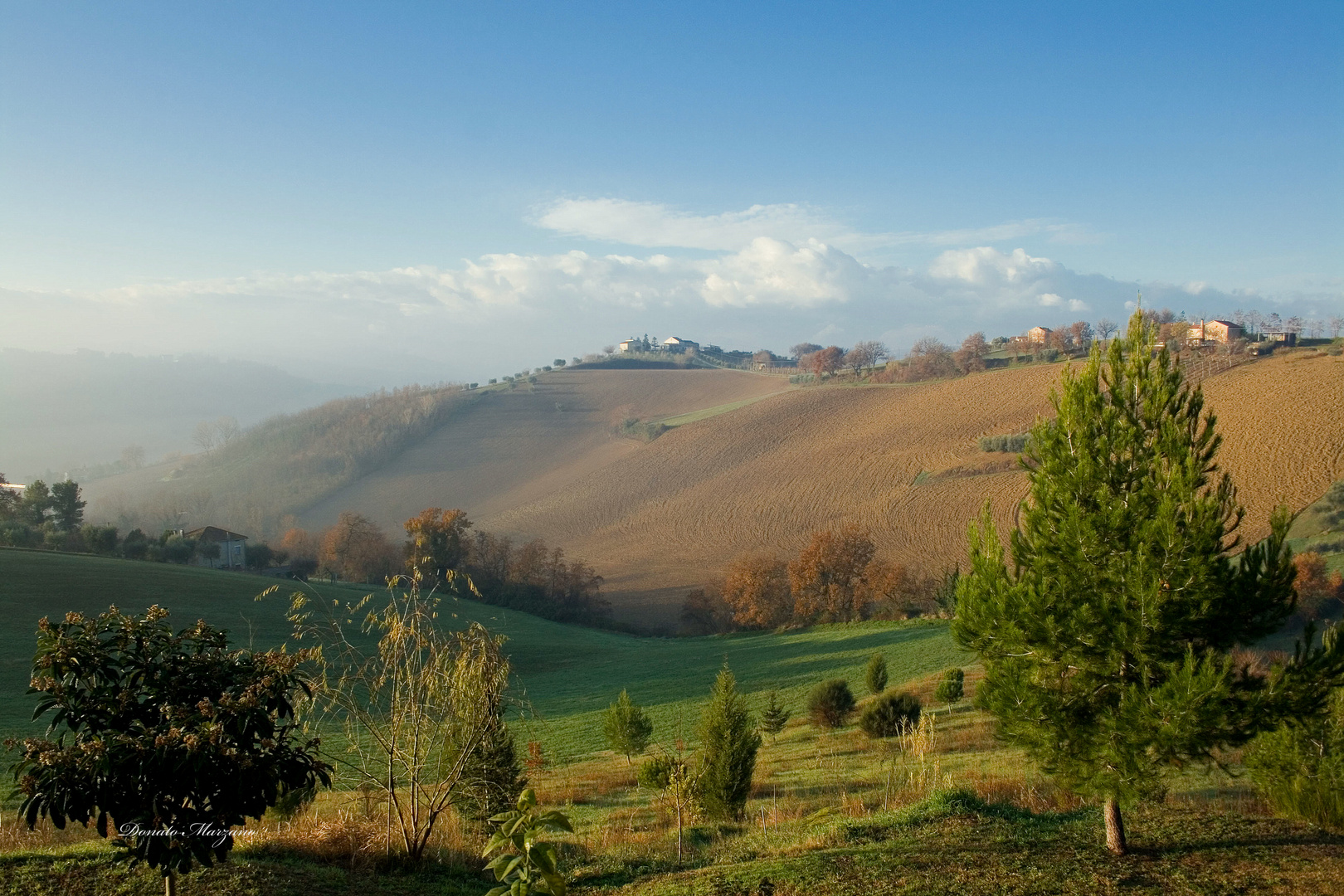 "L'infinito oltre la siepe"