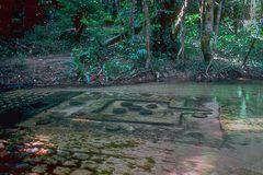 Linga carving in Kbal Spean 