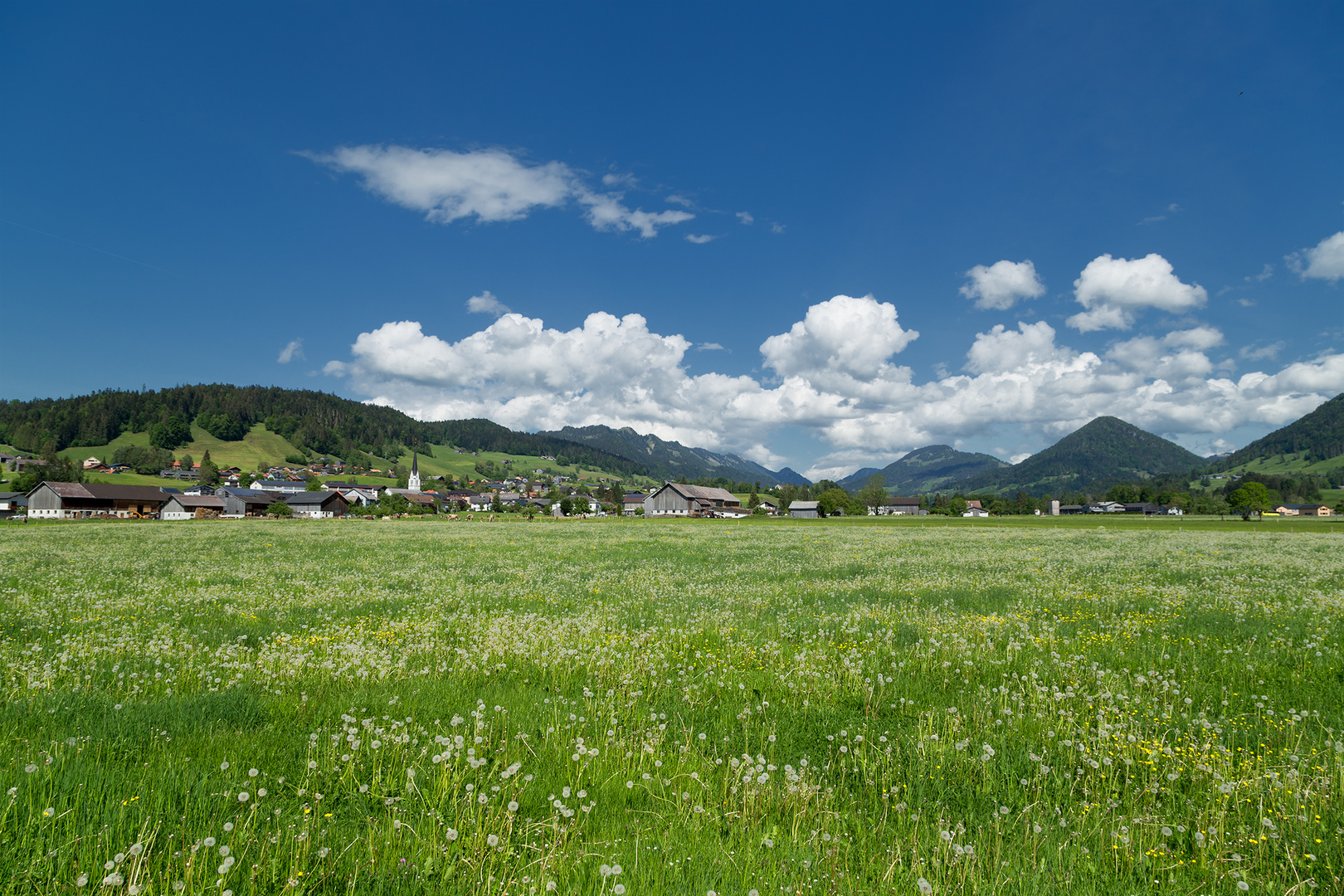 Lingenau - Bregenzerwald