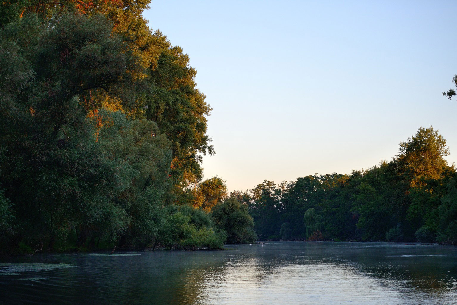 Lingenfelder Altrhein in Germersheim (1)