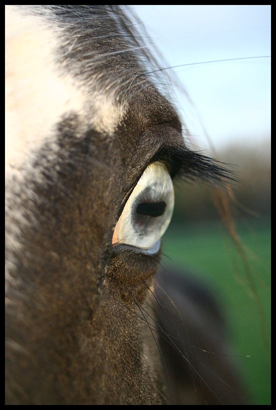 ....linger on your pale blue eyes...