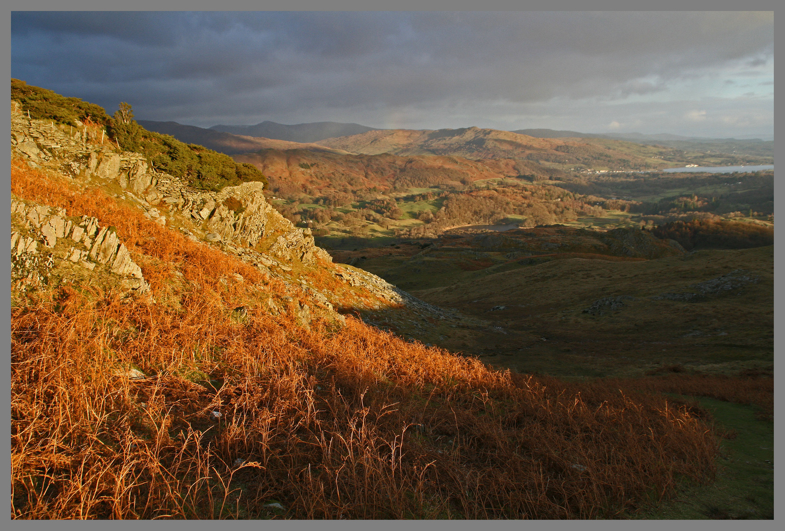 Lingmoor Fell in the English lake District