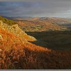 Lingmoor Fell in the English lake District