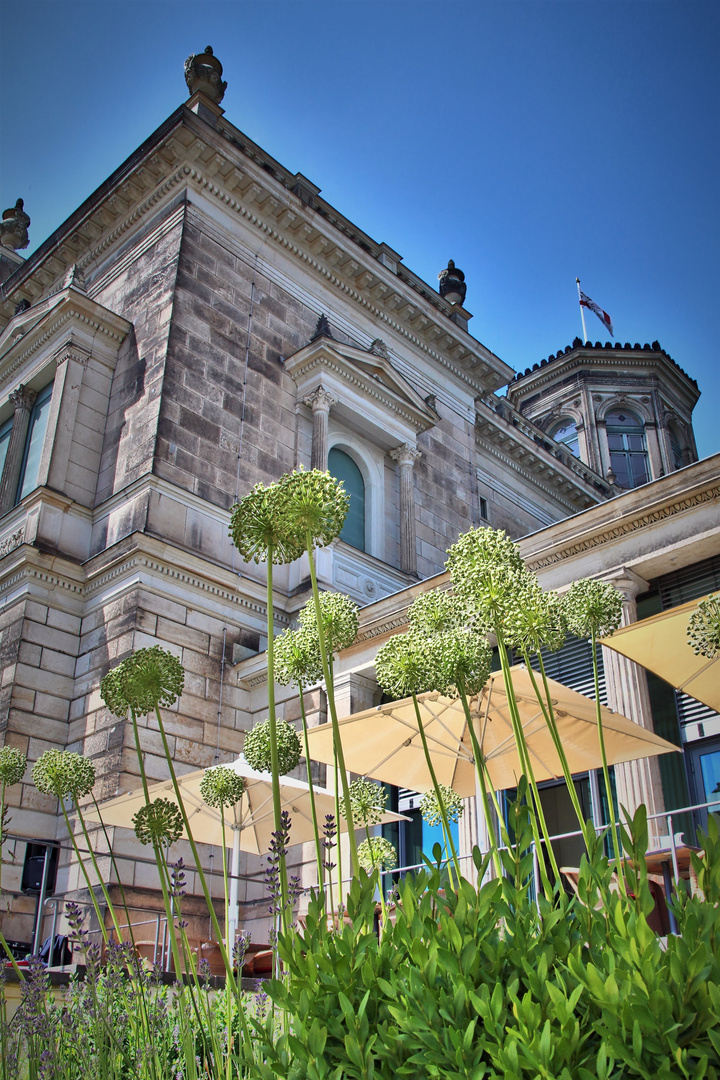 Lingnerschloss Dresden: Ameisenperspektive Ostflügel