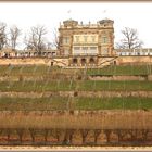 Lingnerschloss (Villa Stockhausen) Dresden III g 2024-03-01 175 ©