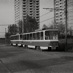 Linie 16 der Dresdner Verkehrsbetriebe