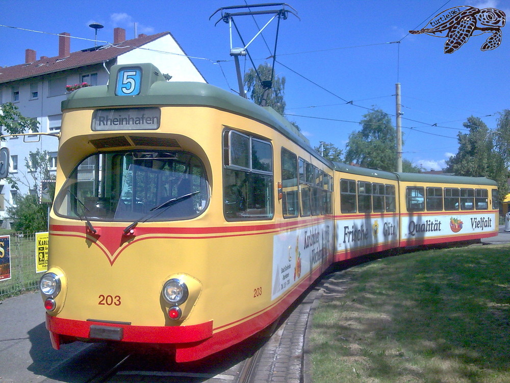 Linie 5  203