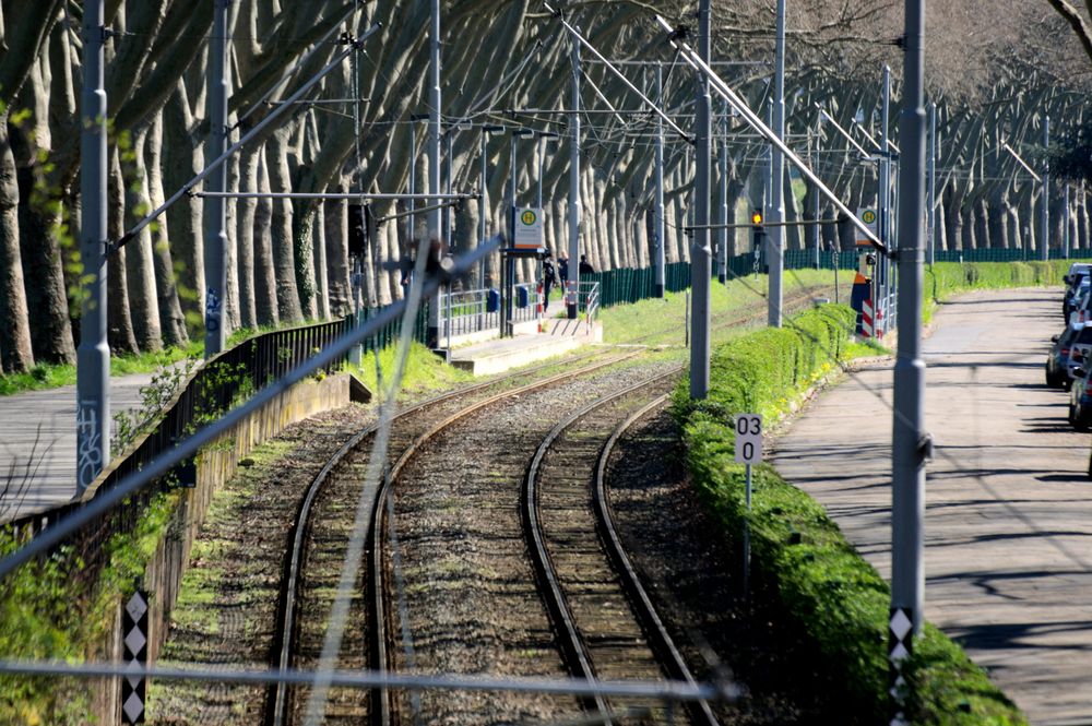 Linie 5 nach Heidelberg