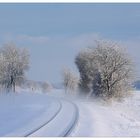 Linie Moorexpress im Nebel