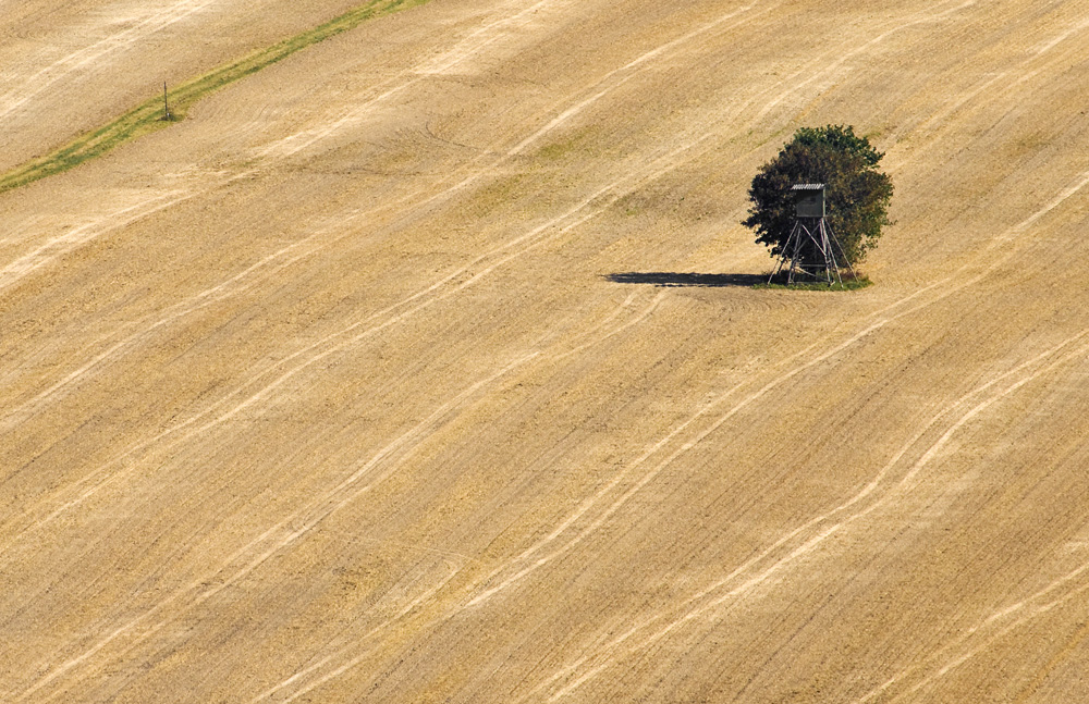 Linien