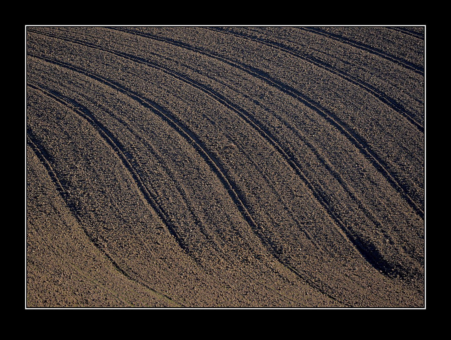 Linien