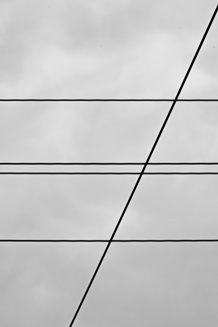 Linien