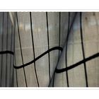 Linien