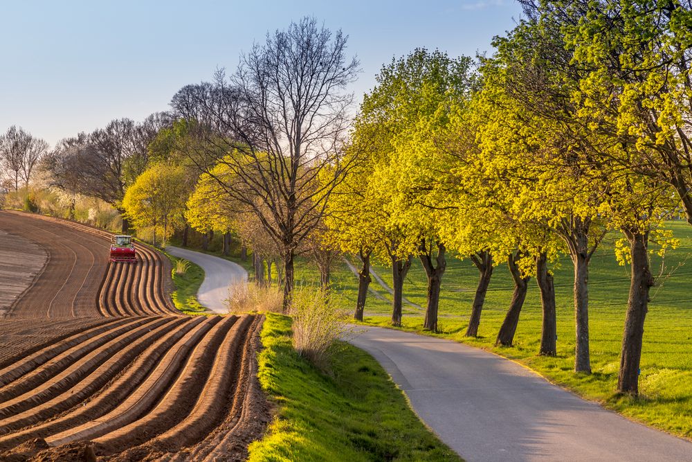 Linien Linien
