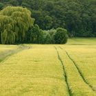 Linien am Berg