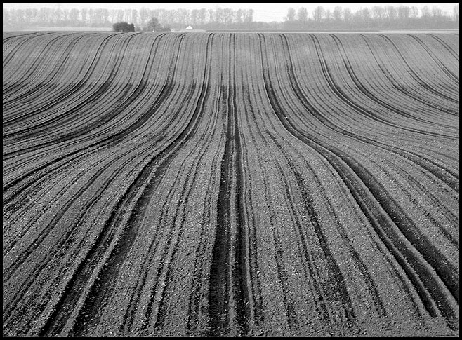 Linien auf dem Felde