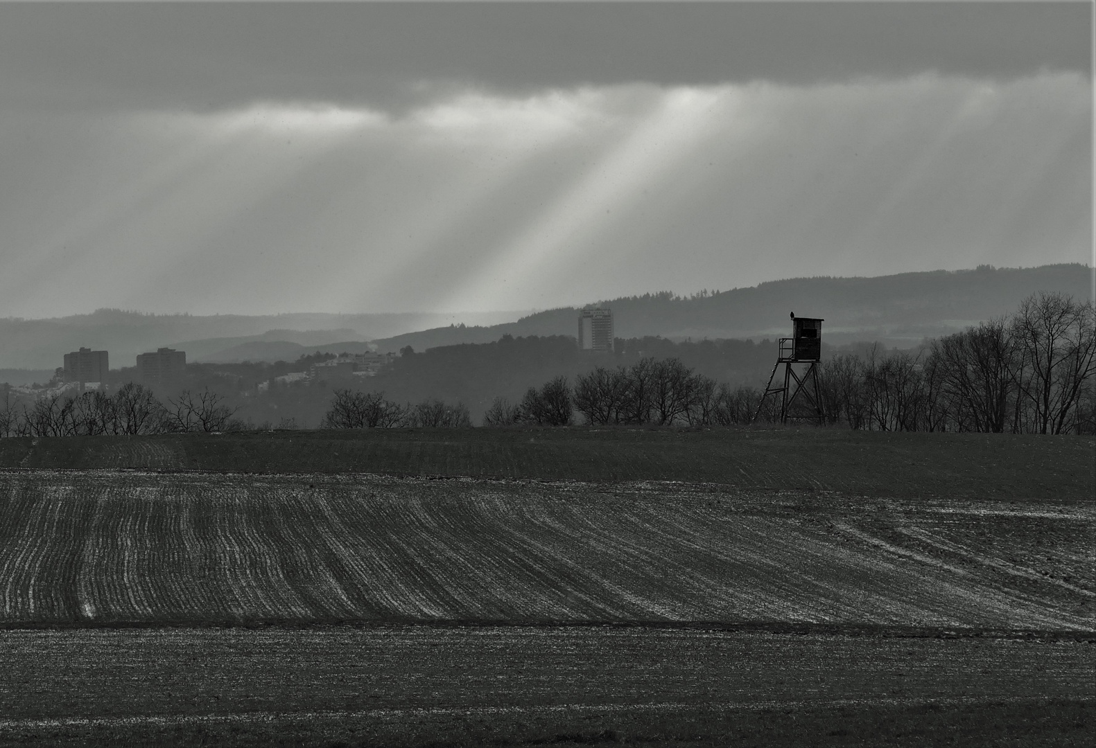 Linien auf der Lahnhöhe