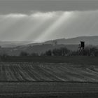 Linien auf der Lahnhöhe