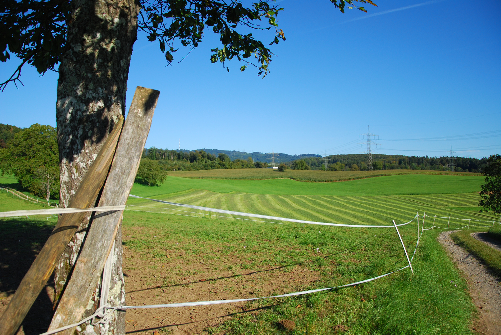 Linien auf der Wiese