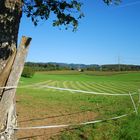 Linien auf der Wiese