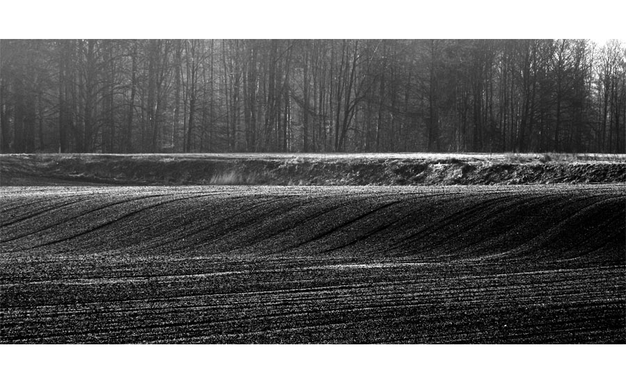 Linien