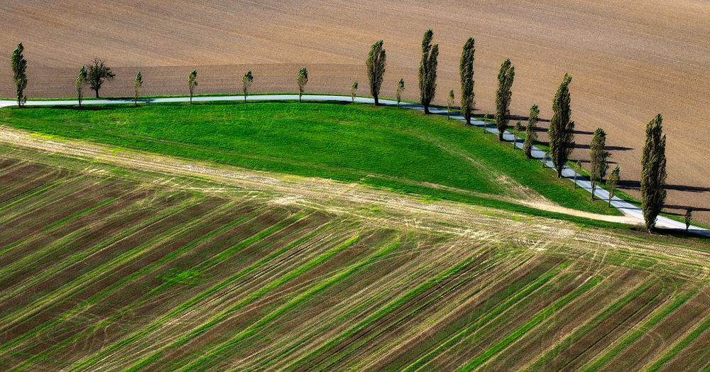 Linien der Natur