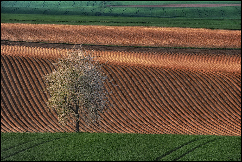 Linien, Farben, Licht und Schatten