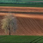 Linien, Farben, Licht und Schatten