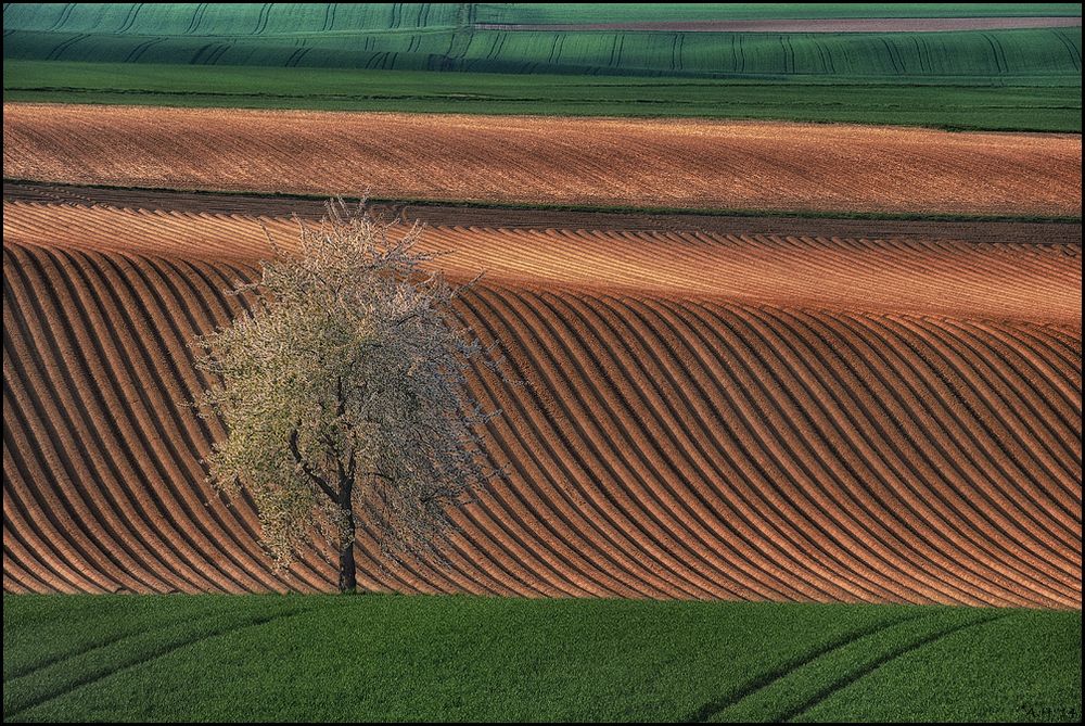 Linien, Farben, Licht und Schatten