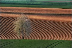 Linien, Farben, Licht und Schatten