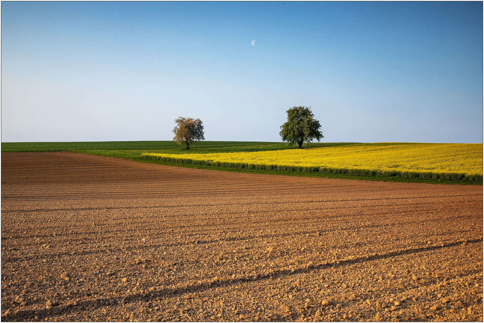 Linien, Flächen, Farben