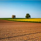 Linien, Flächen, Farben