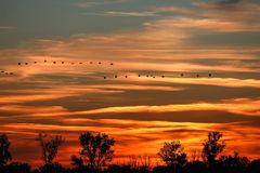 Linien-Flieger