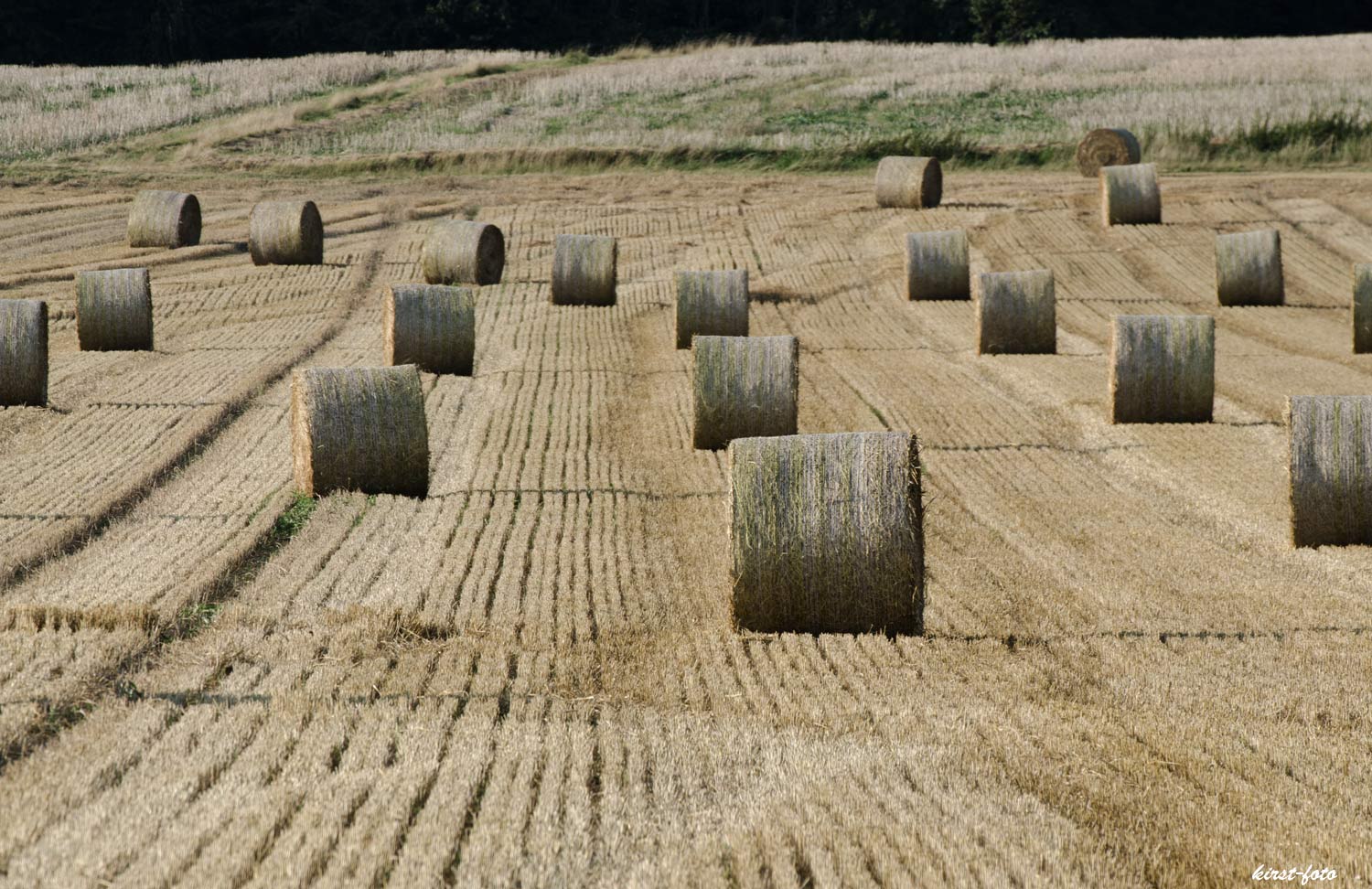 Linien-im-Feld