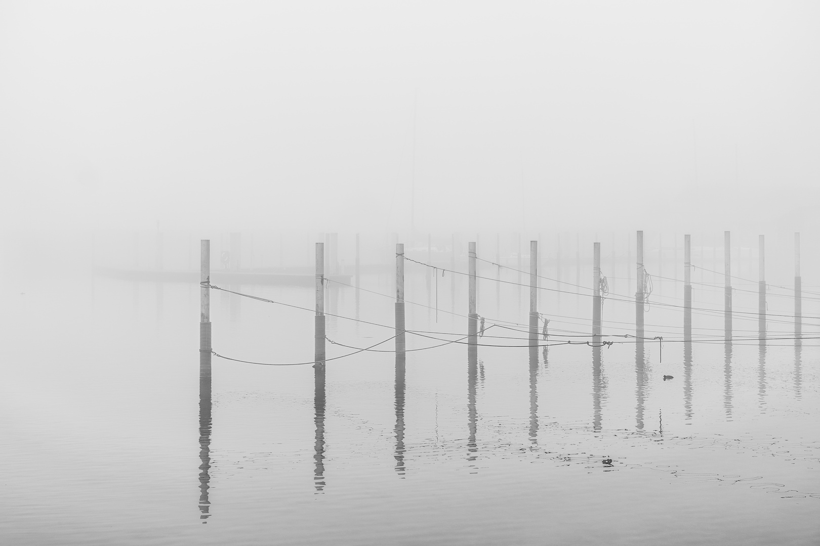 Linien im Nebel