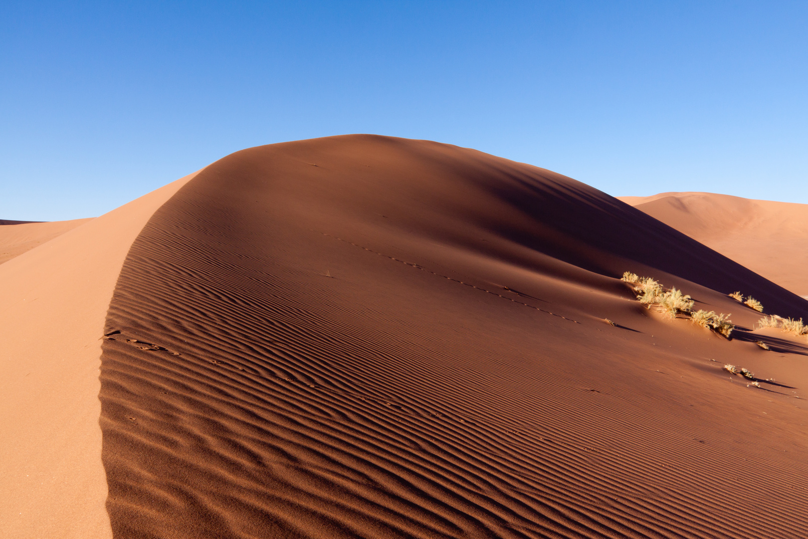 Linien im Sand