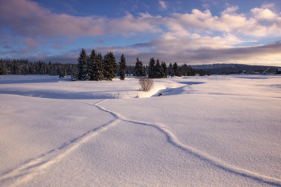 Linien im Schnee