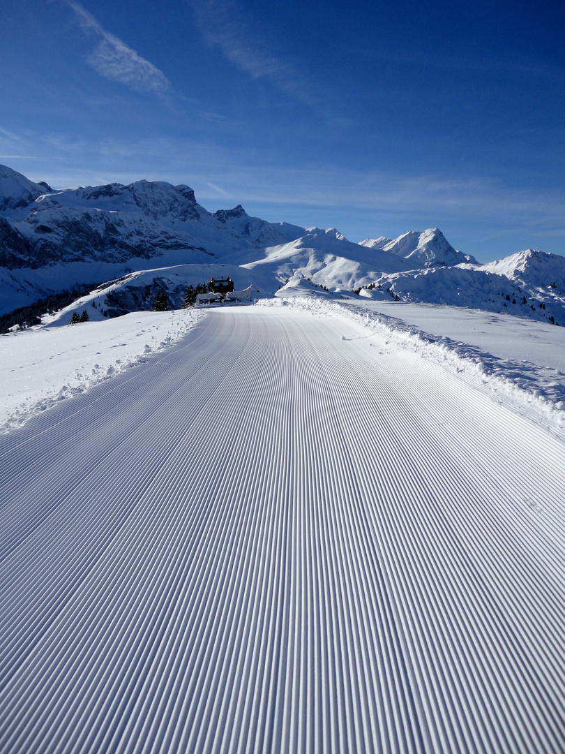 Linien im Schnee 