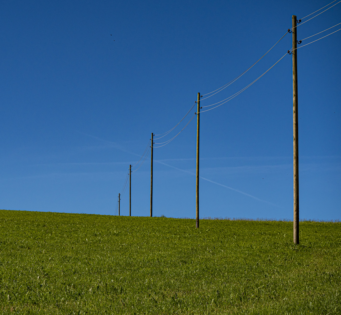 Linien im Schwarzwald