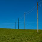 Linien im Schwarzwald