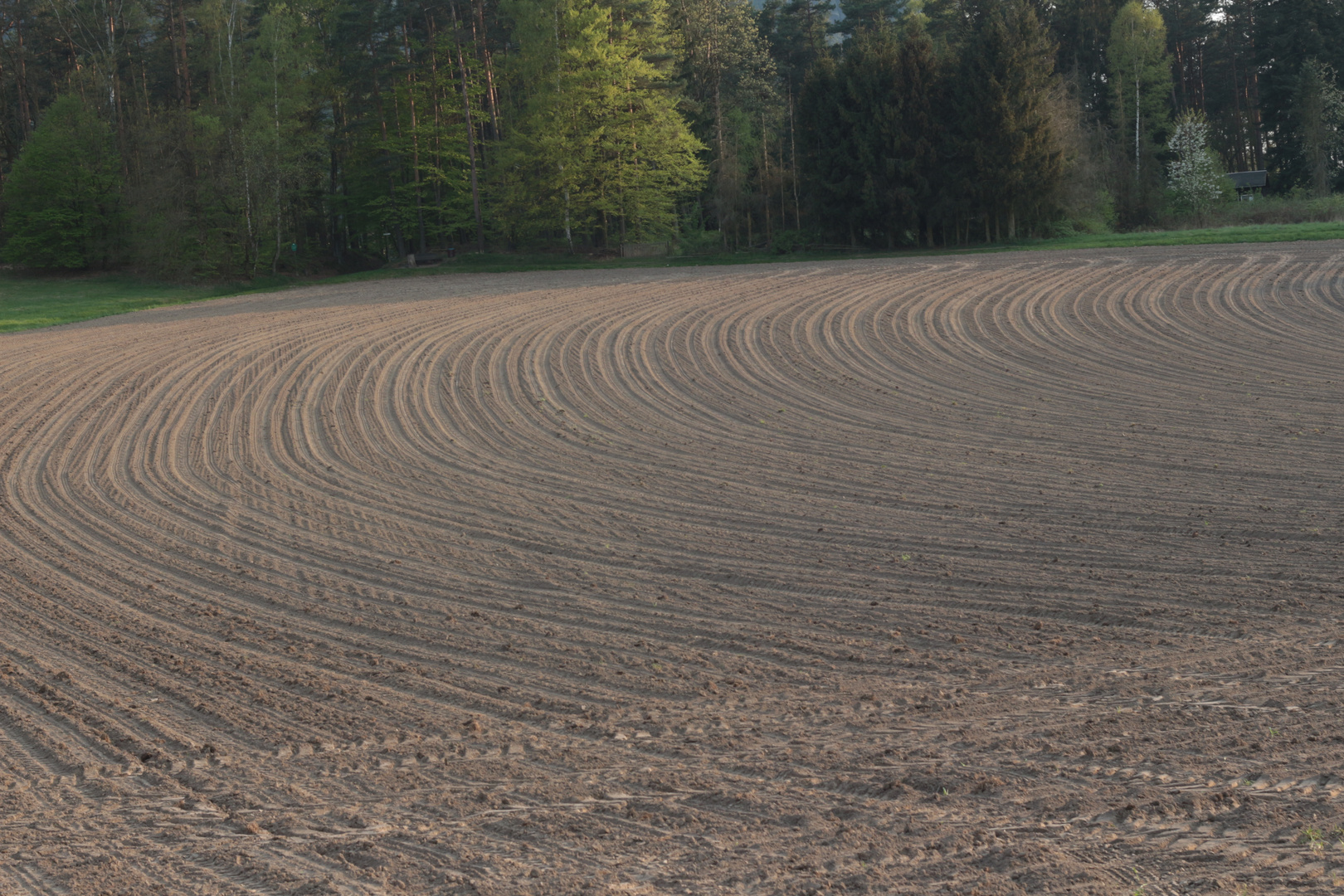 Linien und Furchen