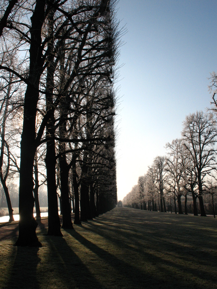 LINIEN und LICHT