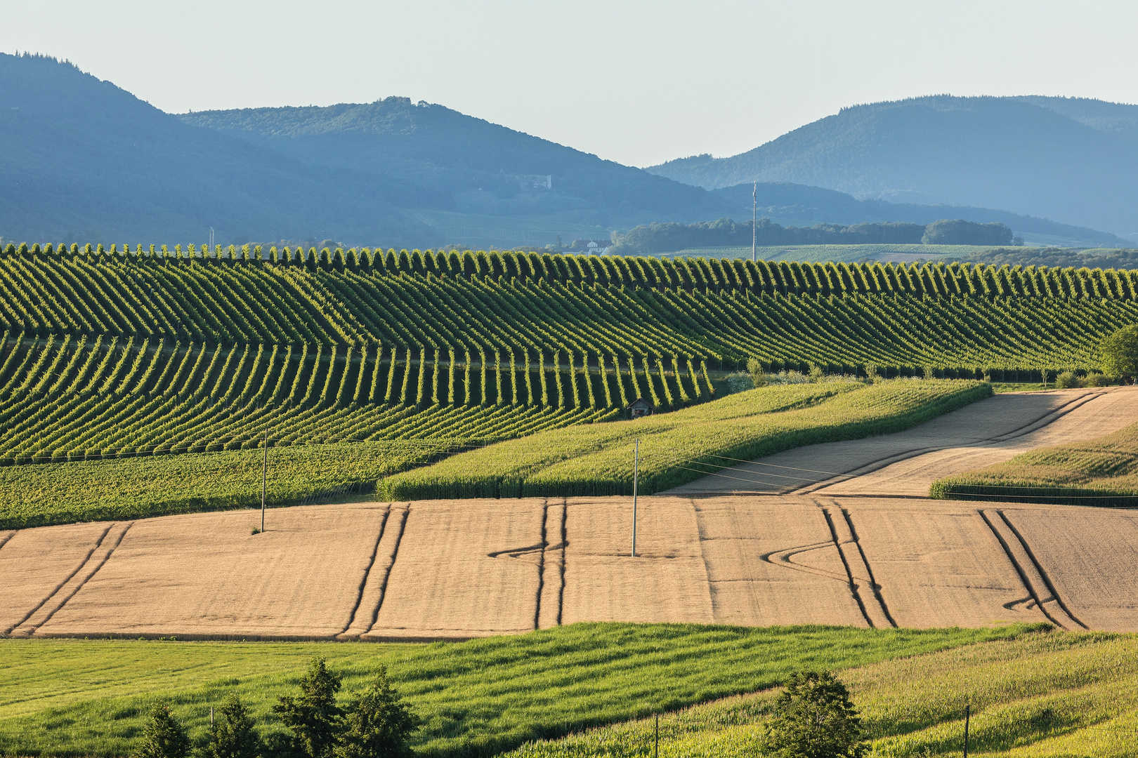 Linien und Strukturen