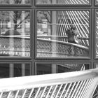 Linien und Strukturen und ein Fotograf im Spiegelfenster