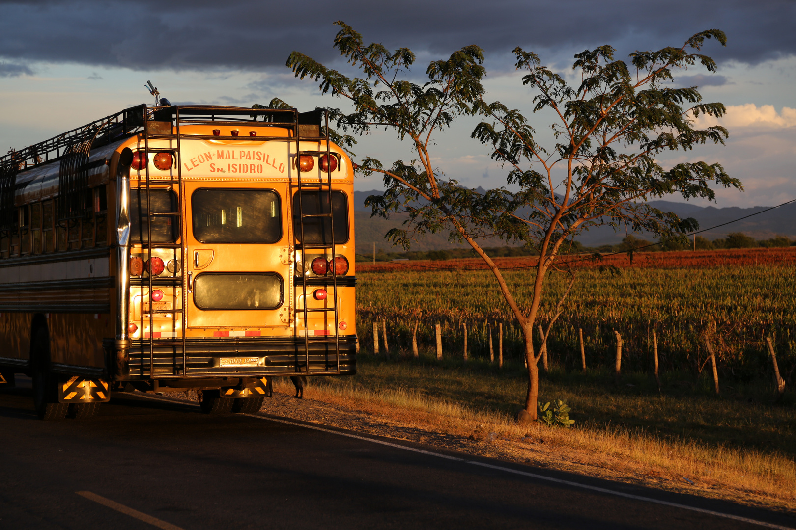 Linienbus, Nicaragua