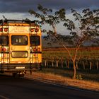 Linienbus, Nicaragua