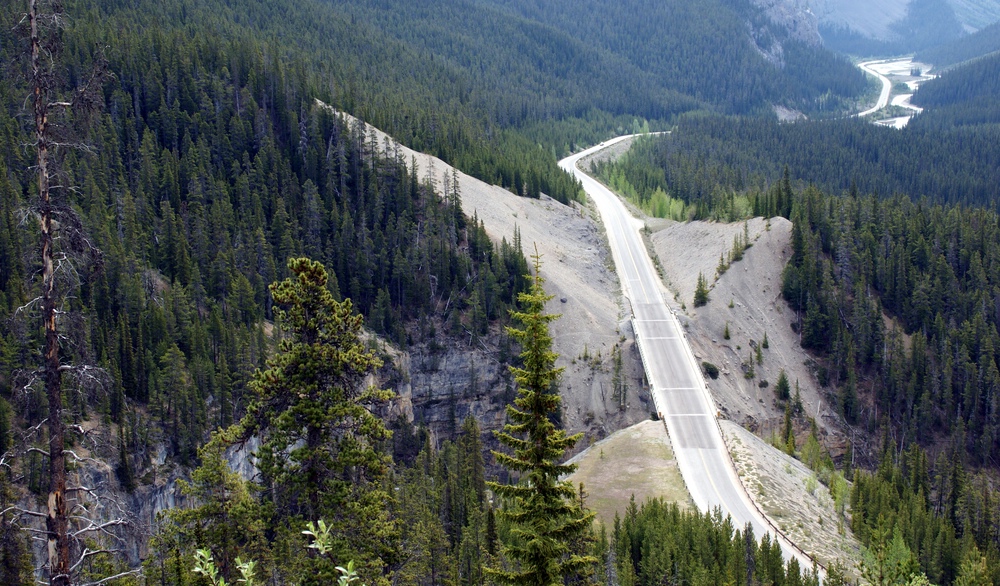 Linienführung