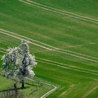 Linienführung...