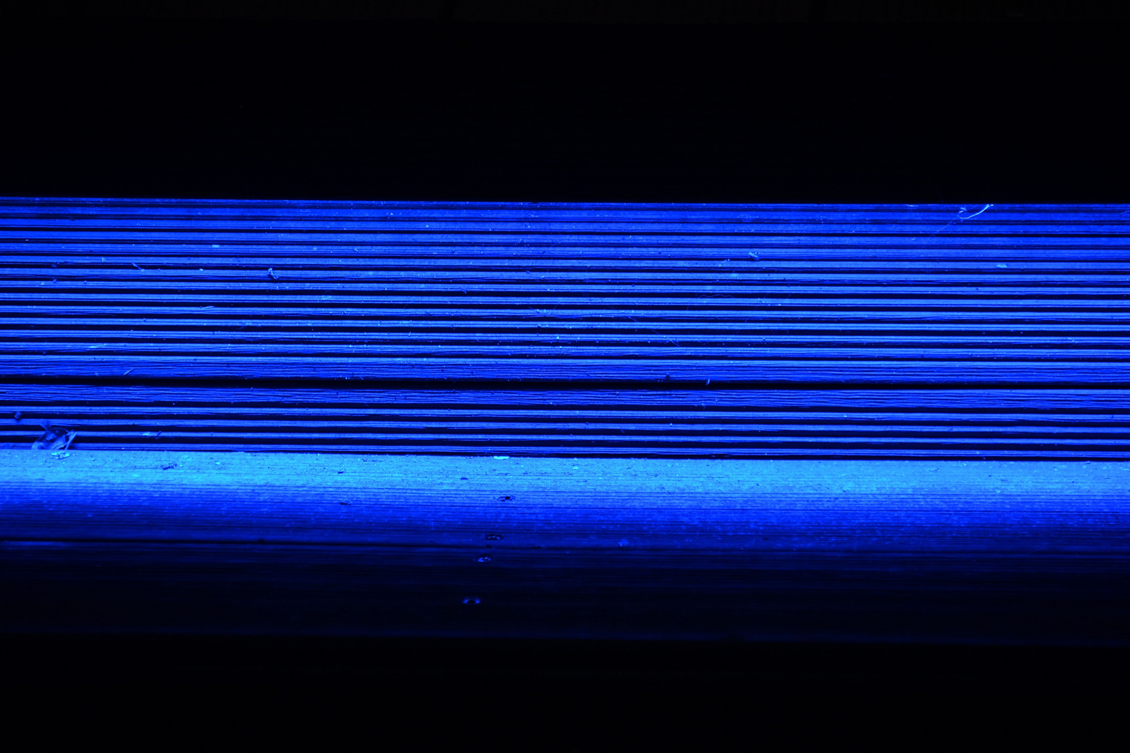 Linientreu Blau